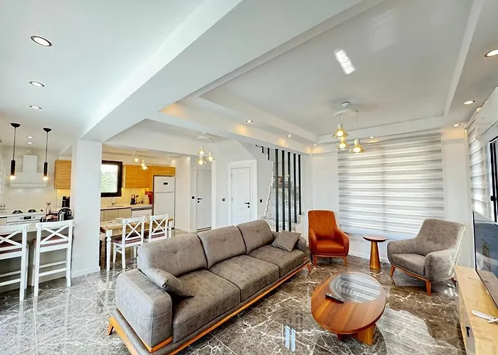 Yasam 2 フェティエ